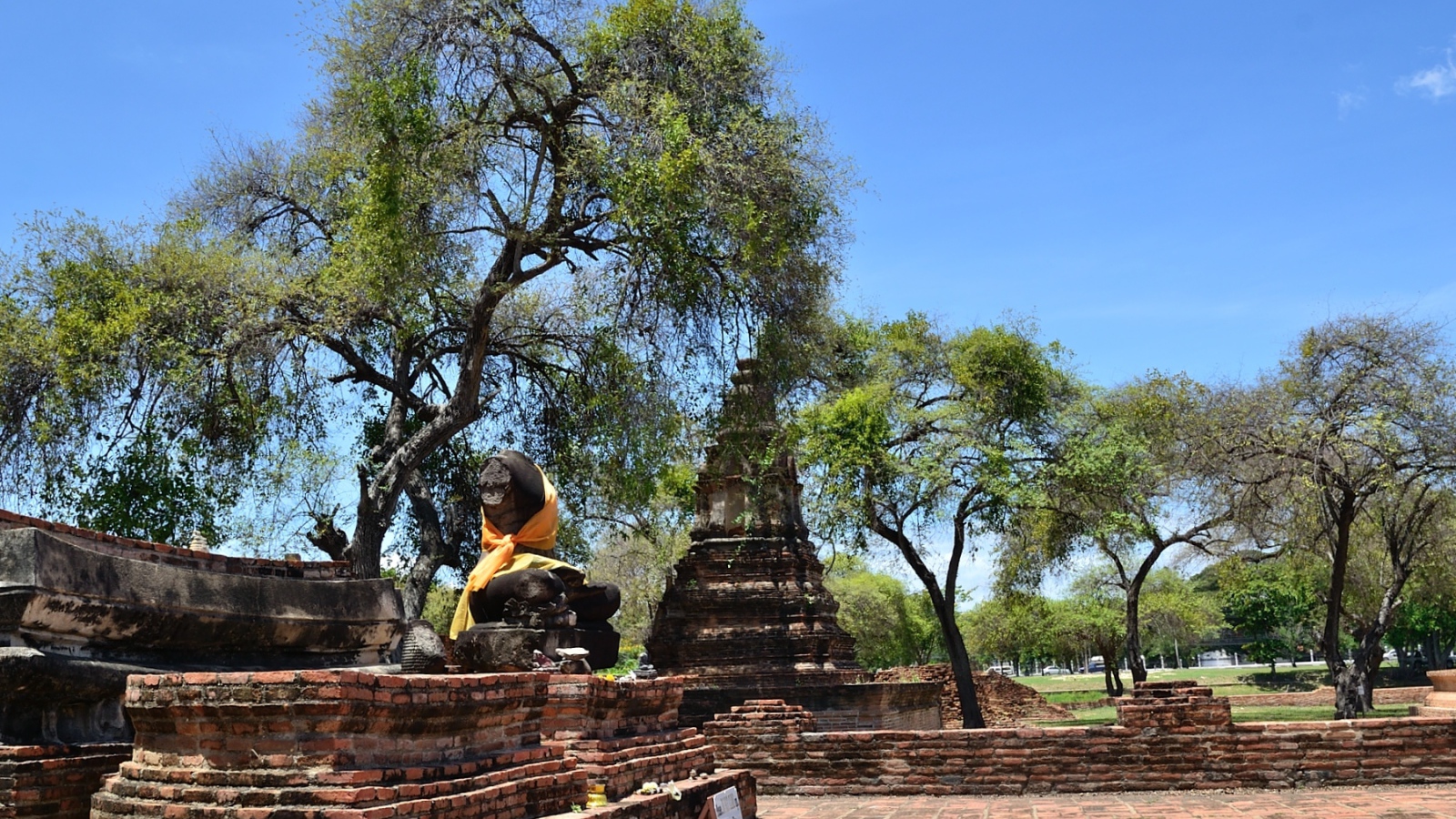 Деревья среди развалин храма на курорте Аютайя, Таиланд