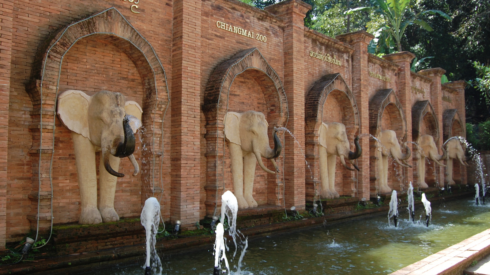 Зоопарк на курорте Чианг Май, Таиланд