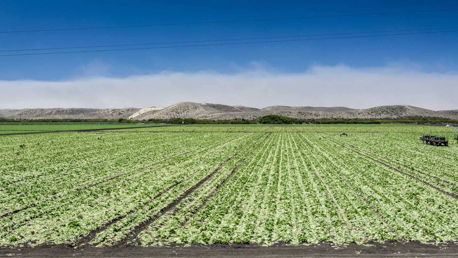Между Монтерей и Санта-Крус, штат Калифорния, США