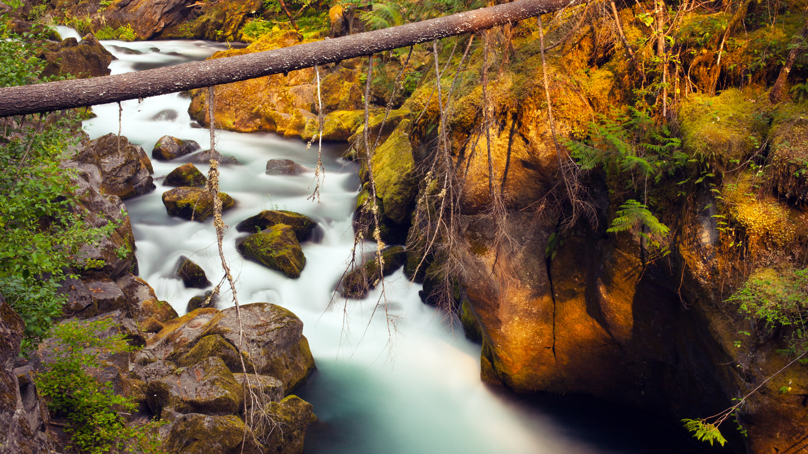 Река Северная Ампкуа, Орегон, США