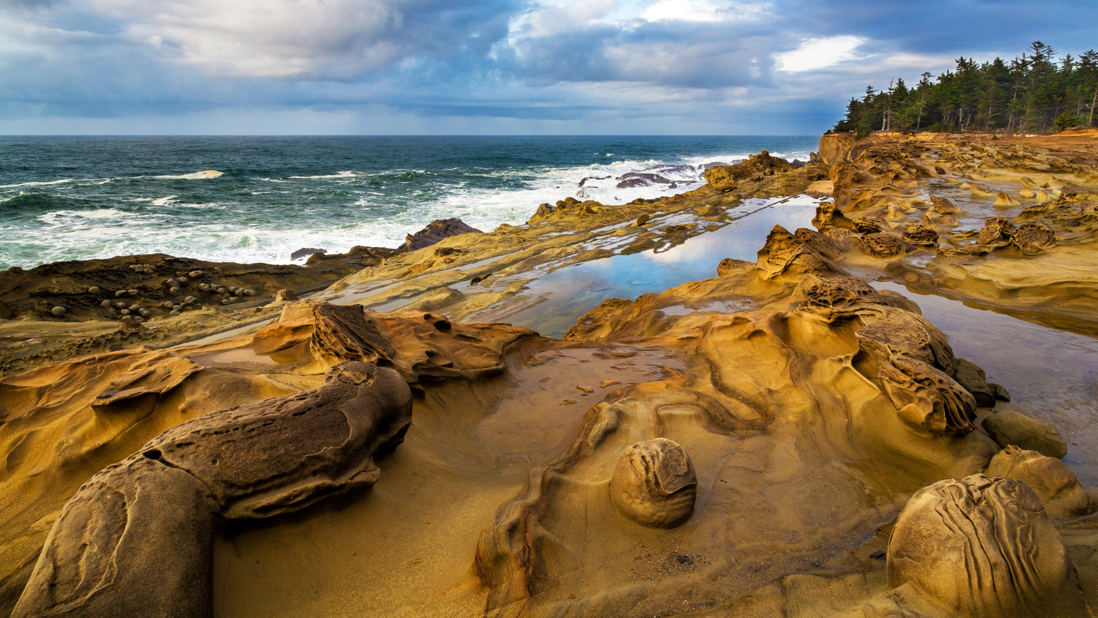 Побережье Орегона, США