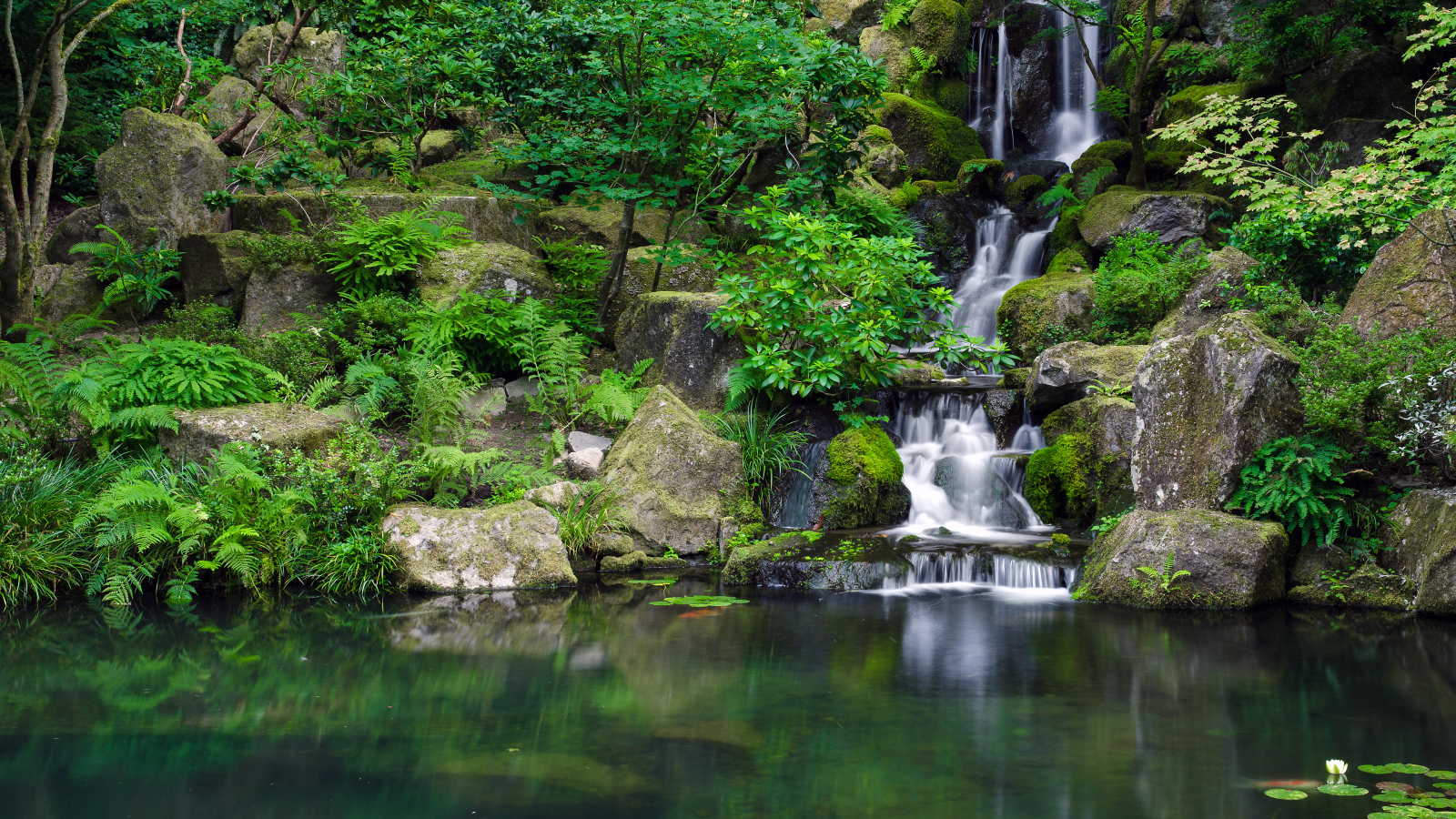 Портленд Джапанес Гарденс, Орегон, США