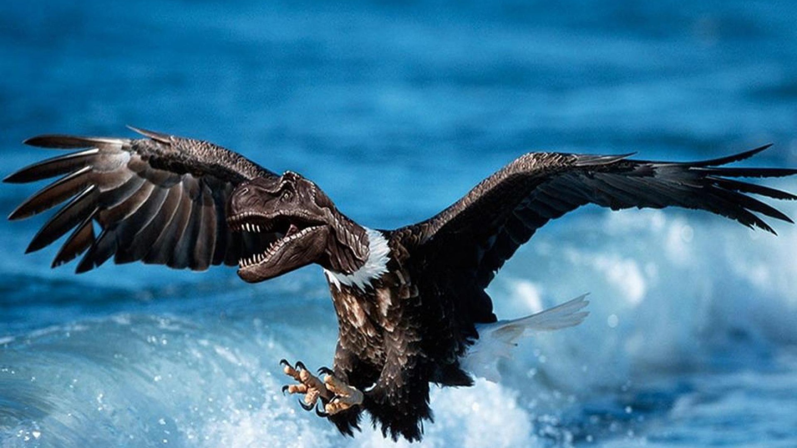 Дино орел в небе