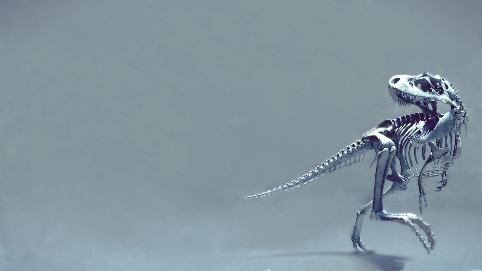 Скелет динозавра