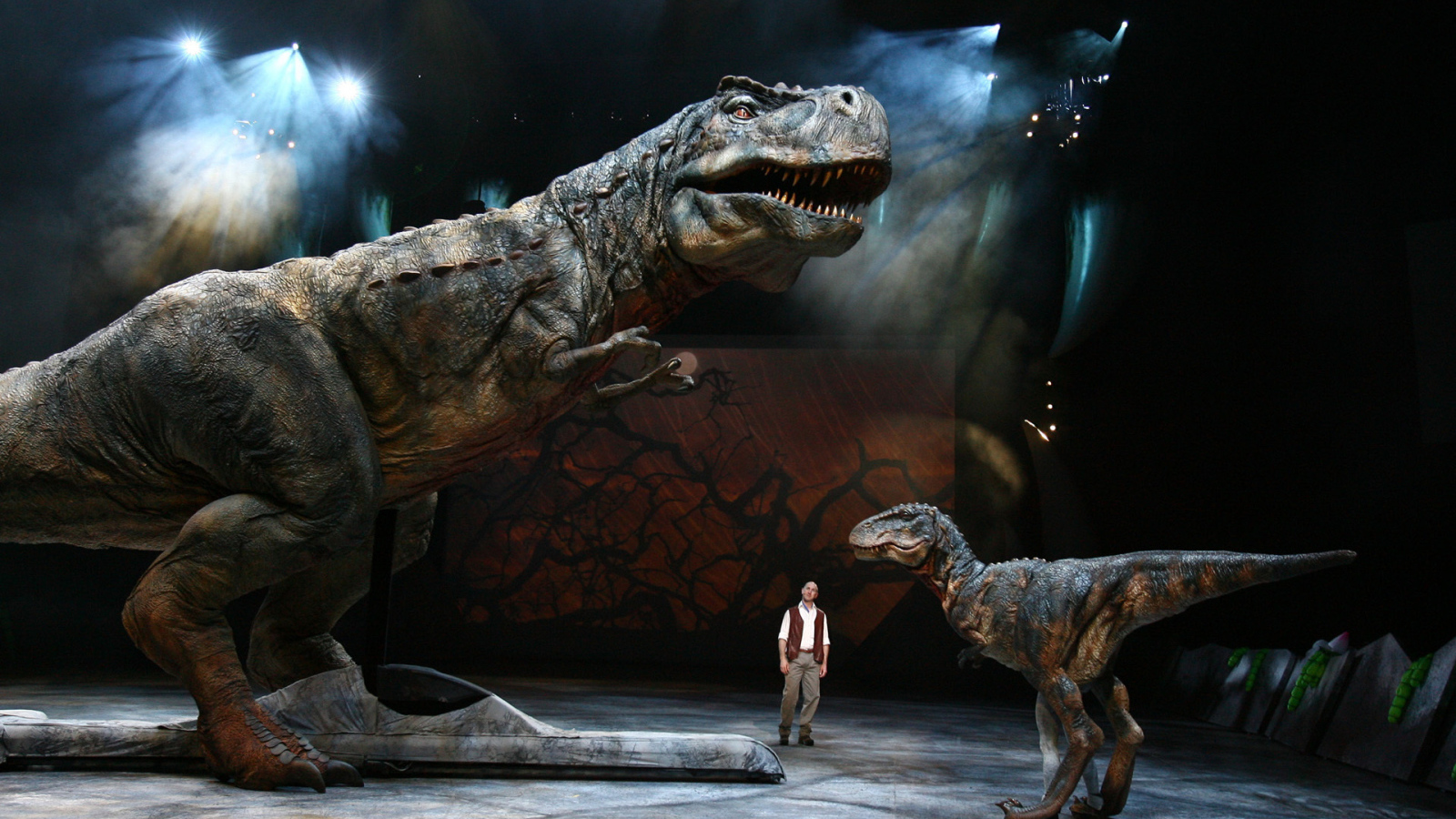 Динозавры в музее