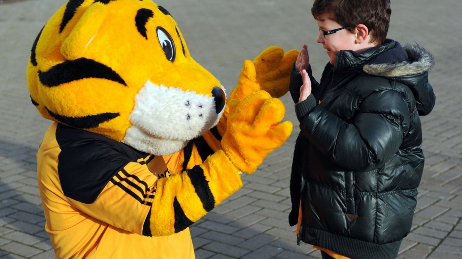 Знаменитый футбольный клуб Халл Сити