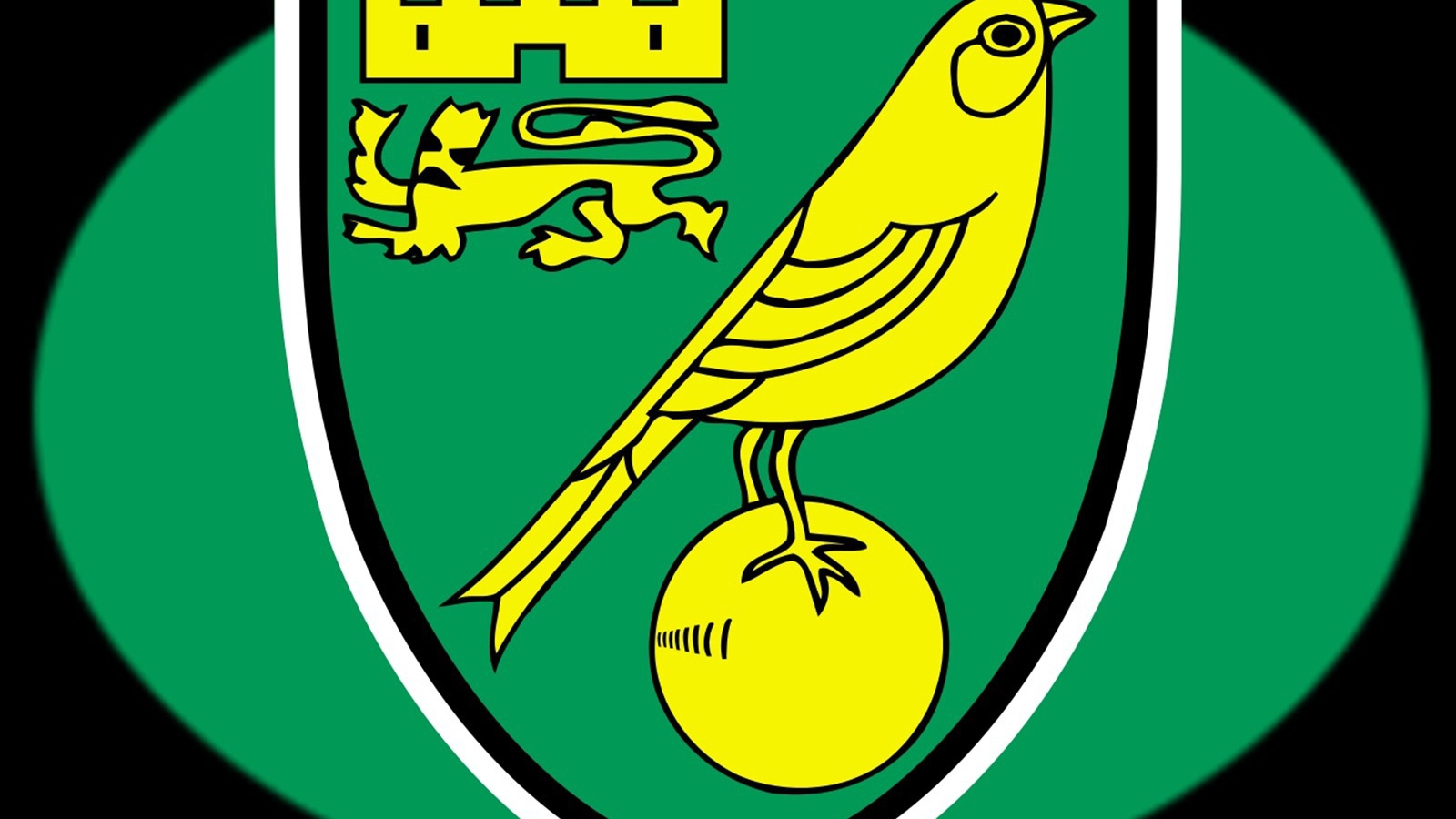 Футбольный клуб Англии Норвич