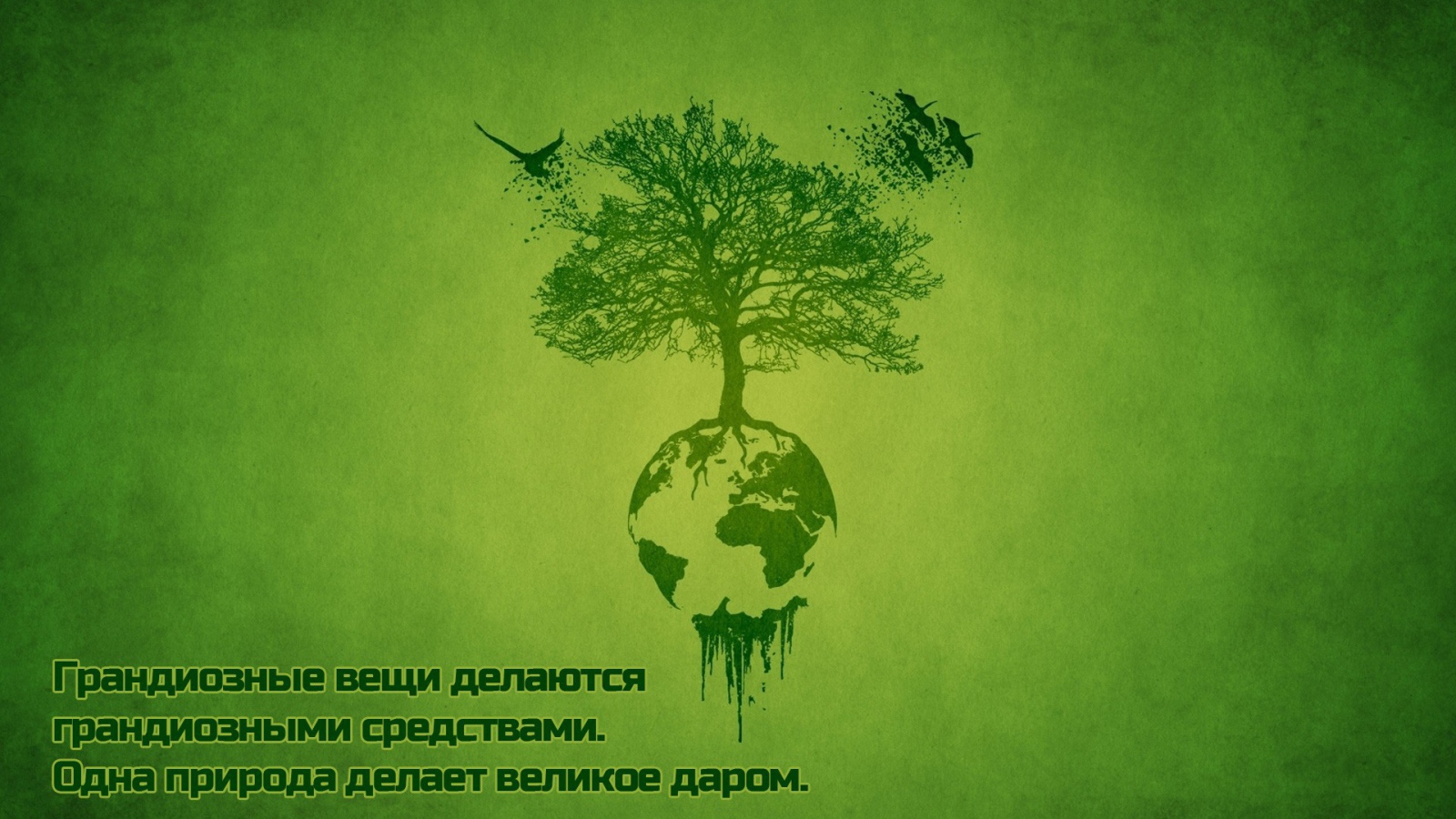 Сила природы для всех