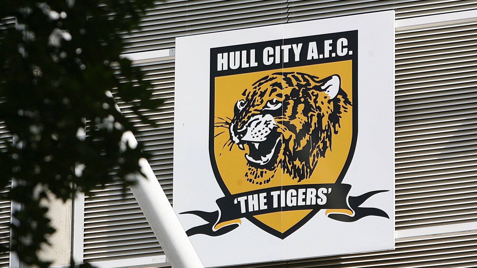 Халл Сити тигры