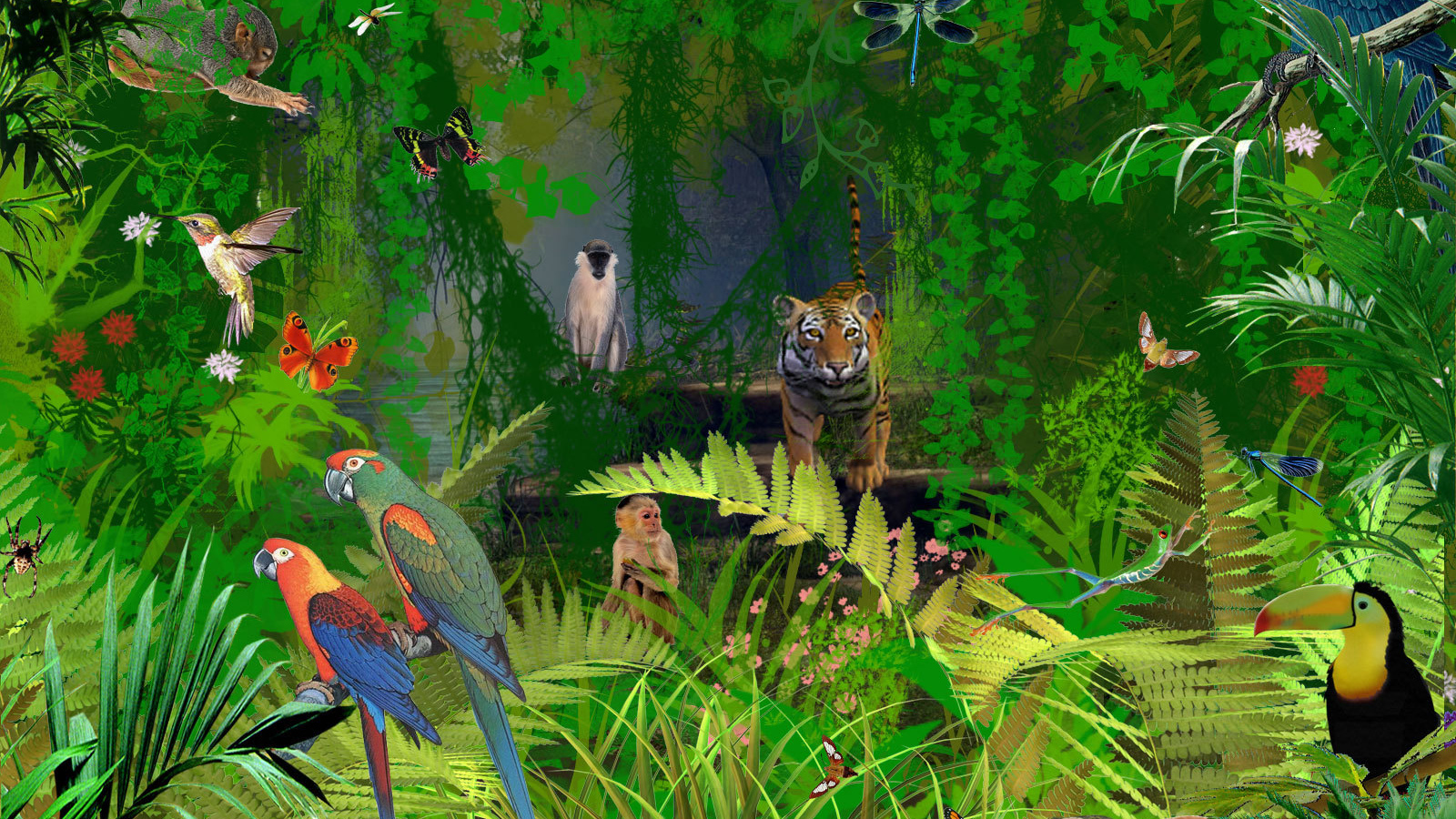 Джунгли животных в Коста-Рике