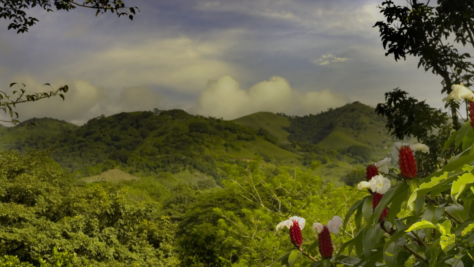 Пейзаж на Коста-Рика