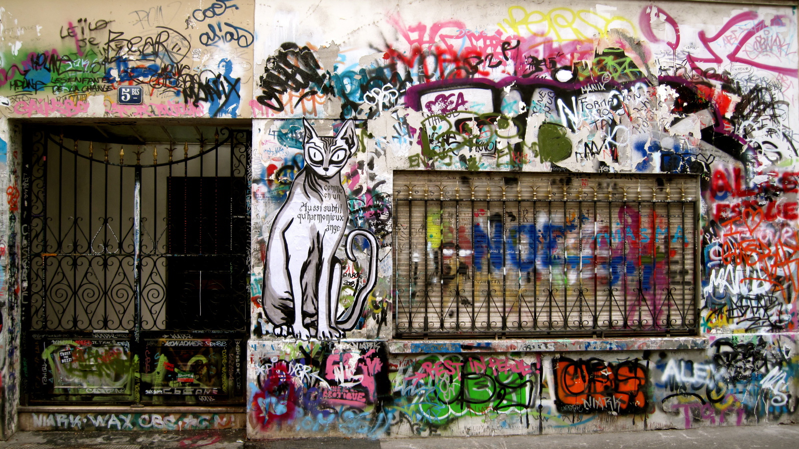 Нарисованный кот