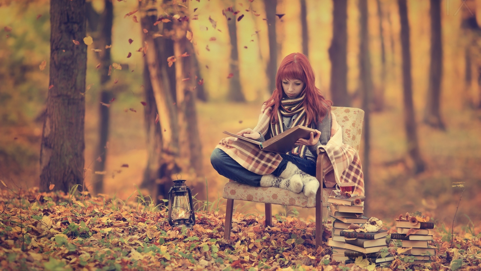 Фотография рыжая в лесу