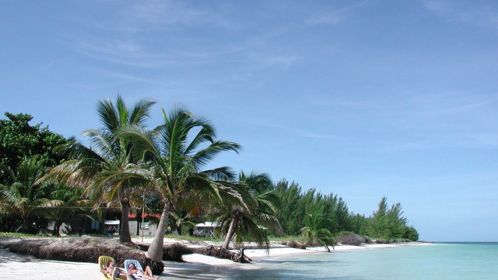 Отдых под пальмой на пляже на курорте Кайо Коко, Куба