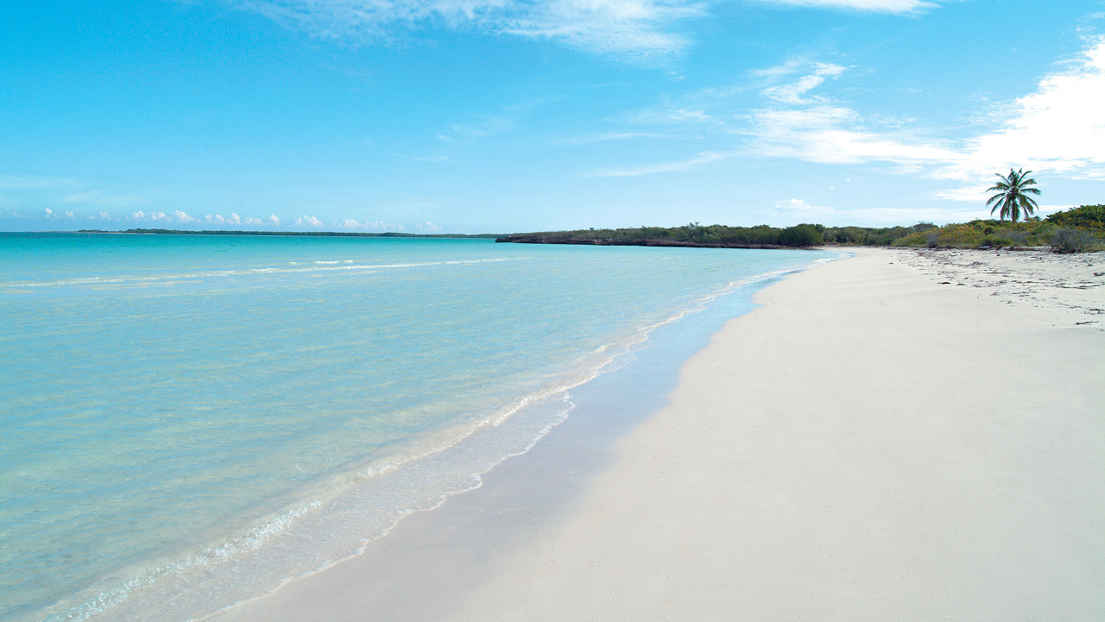 Летний отдых на курорте Кайо Санта Мария, Куба