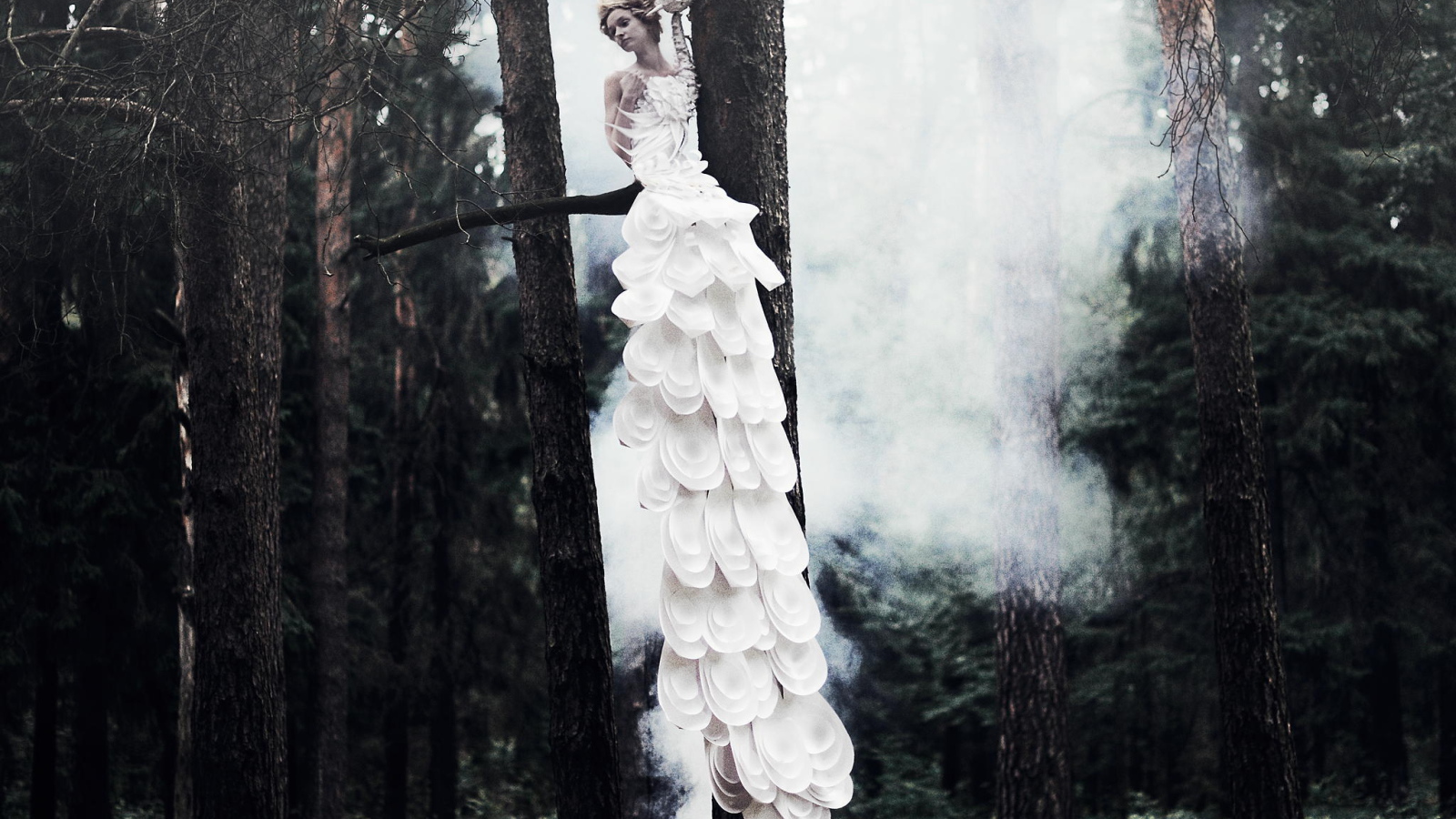 Фотография Девушка на дереве