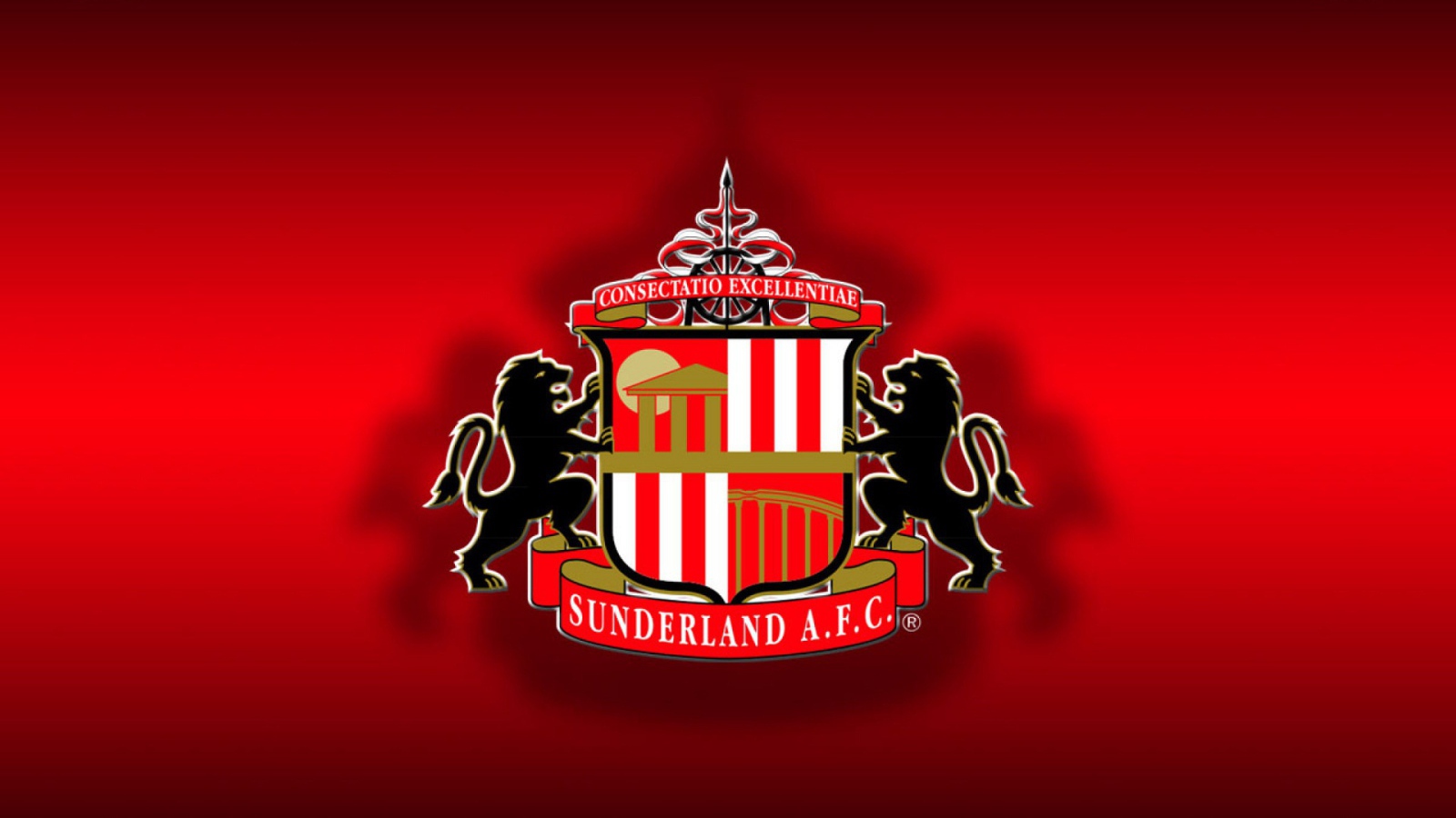 Знаменитая футбольная команда Англии Сандерленд