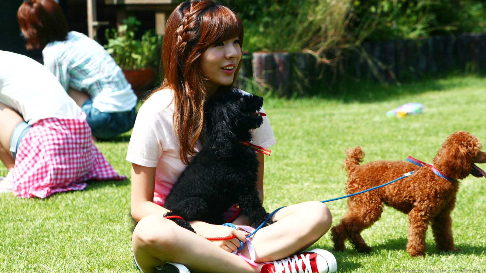 Девочка с собаками сидит на траве