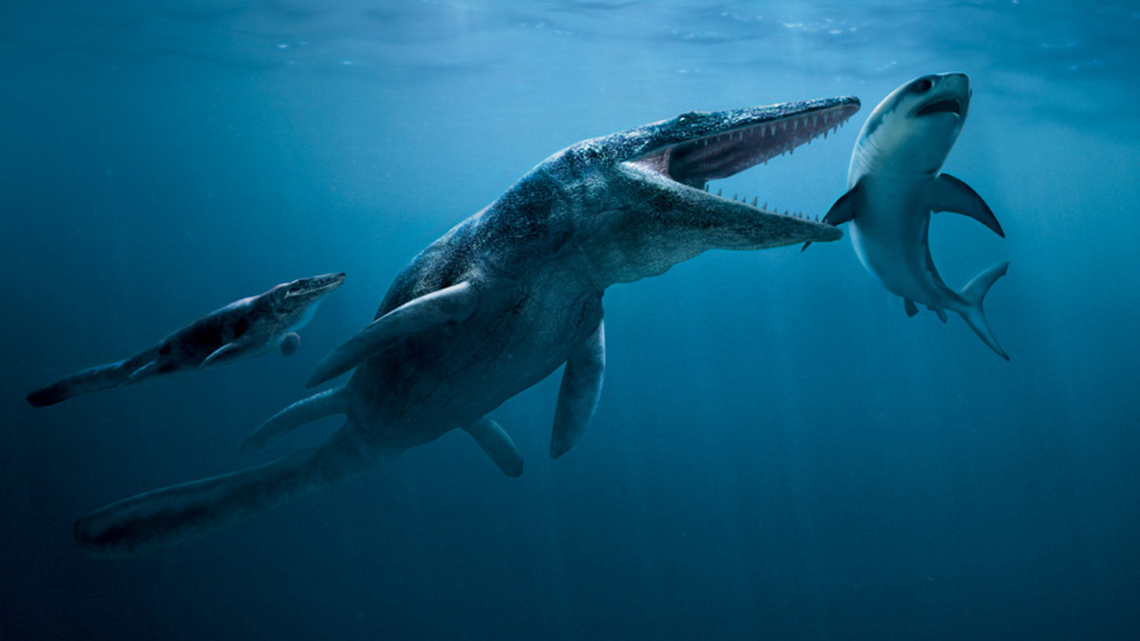 Подводные сражения динозавров