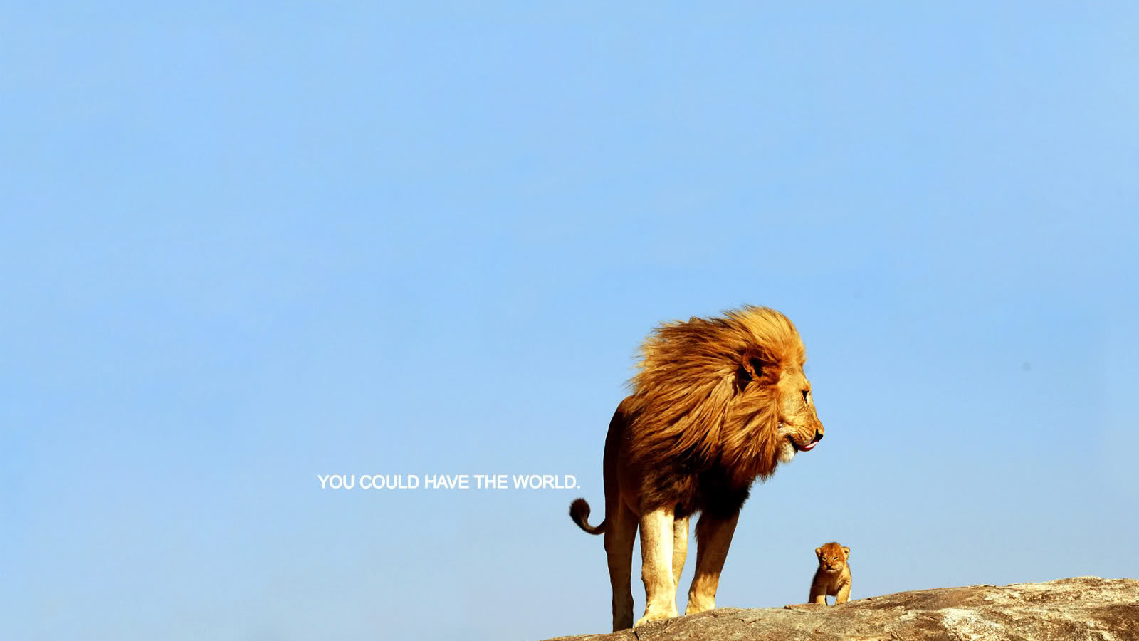 Ты можешь покорить весь мир