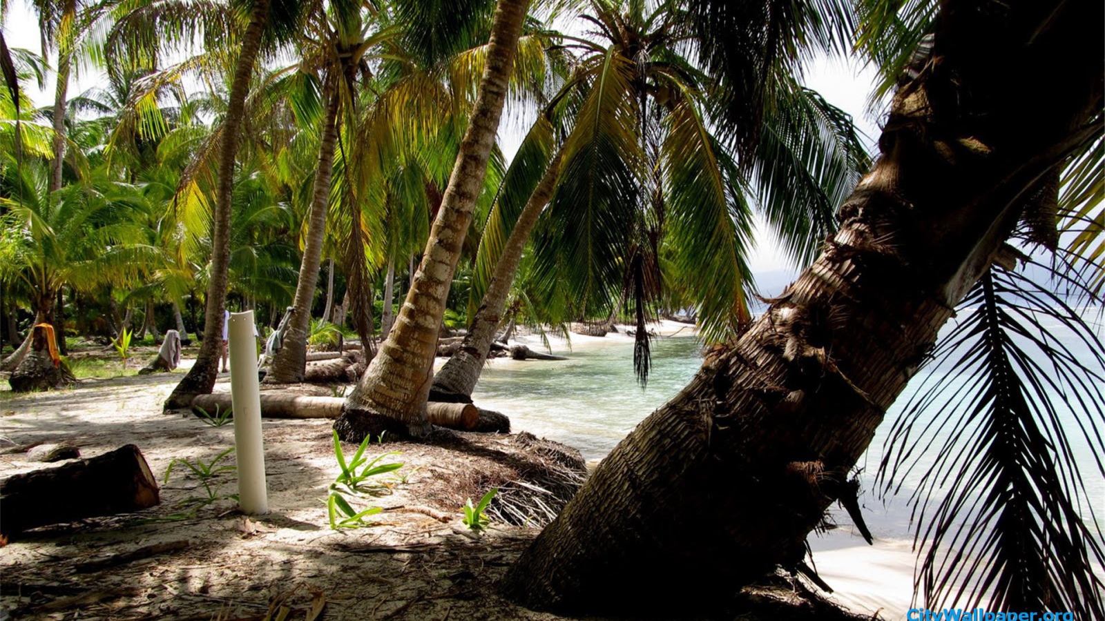 Замечательная страна Панама