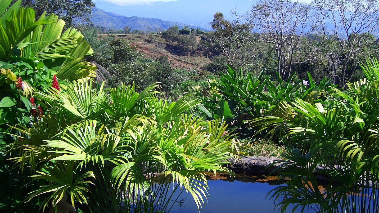 Привлекательное Коста-Рика