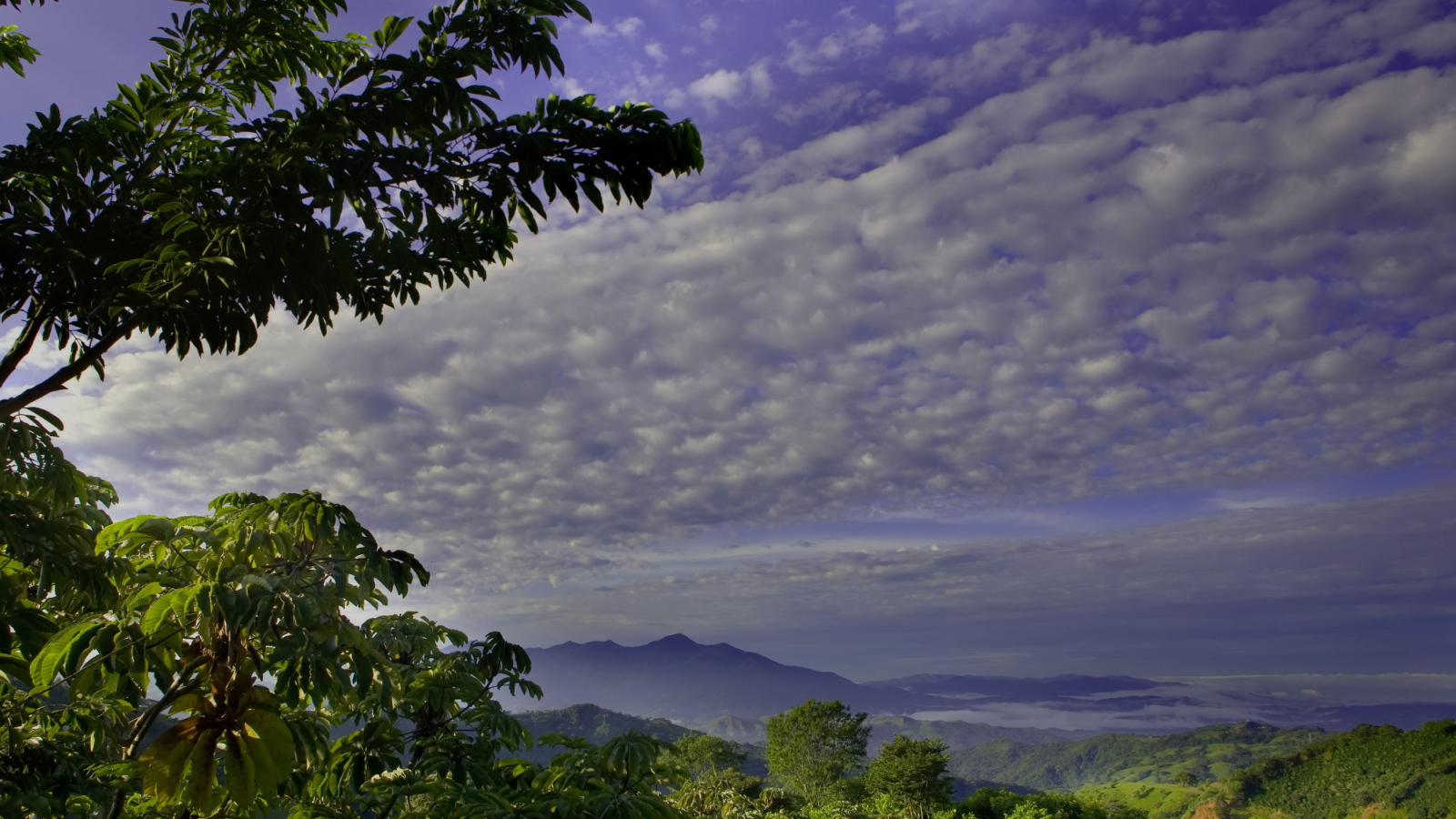 Великолепная страна Коста-Рика