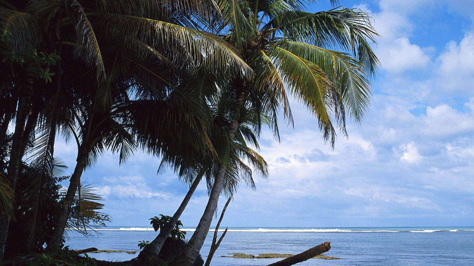 Невероятная страна Коста-Рика