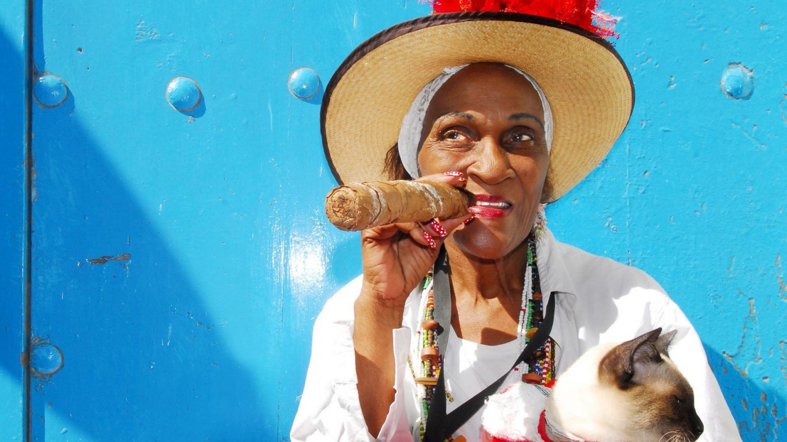 Бабушка с котом и сигарой