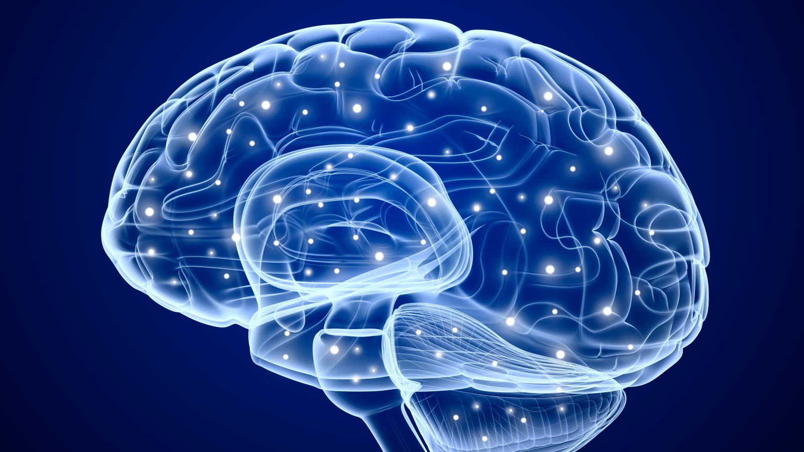 Электрические сигналы мозга