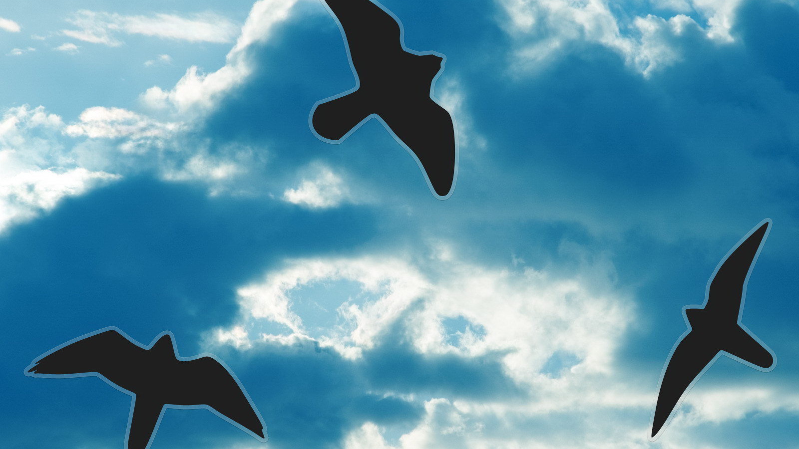 Силуэты птиц на небе