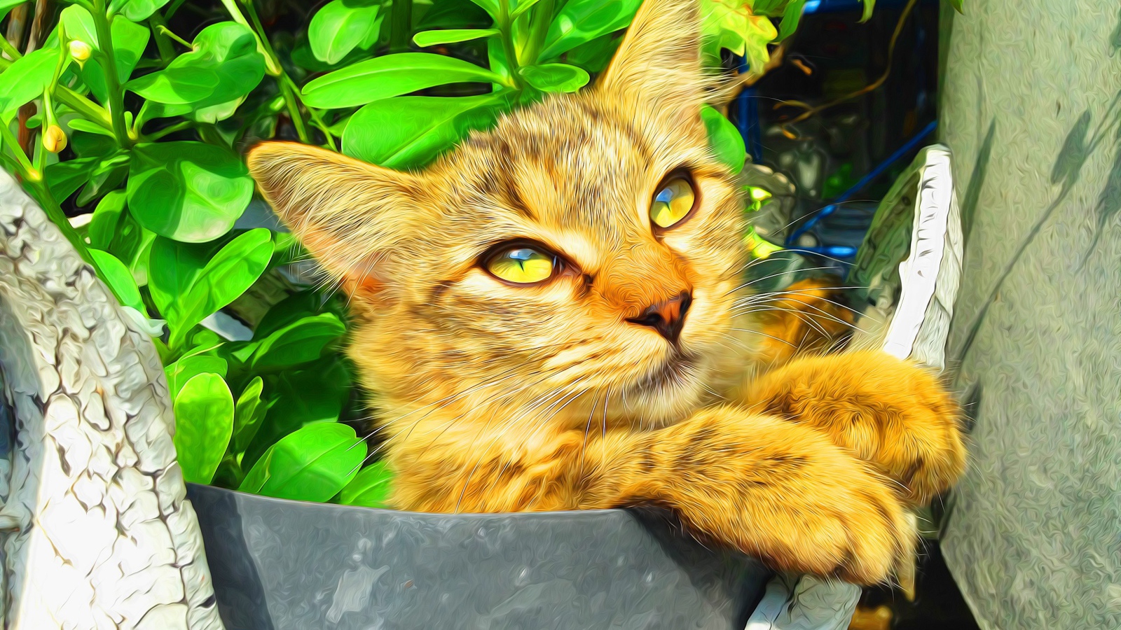 Милый рыжий кот на фоне зелени