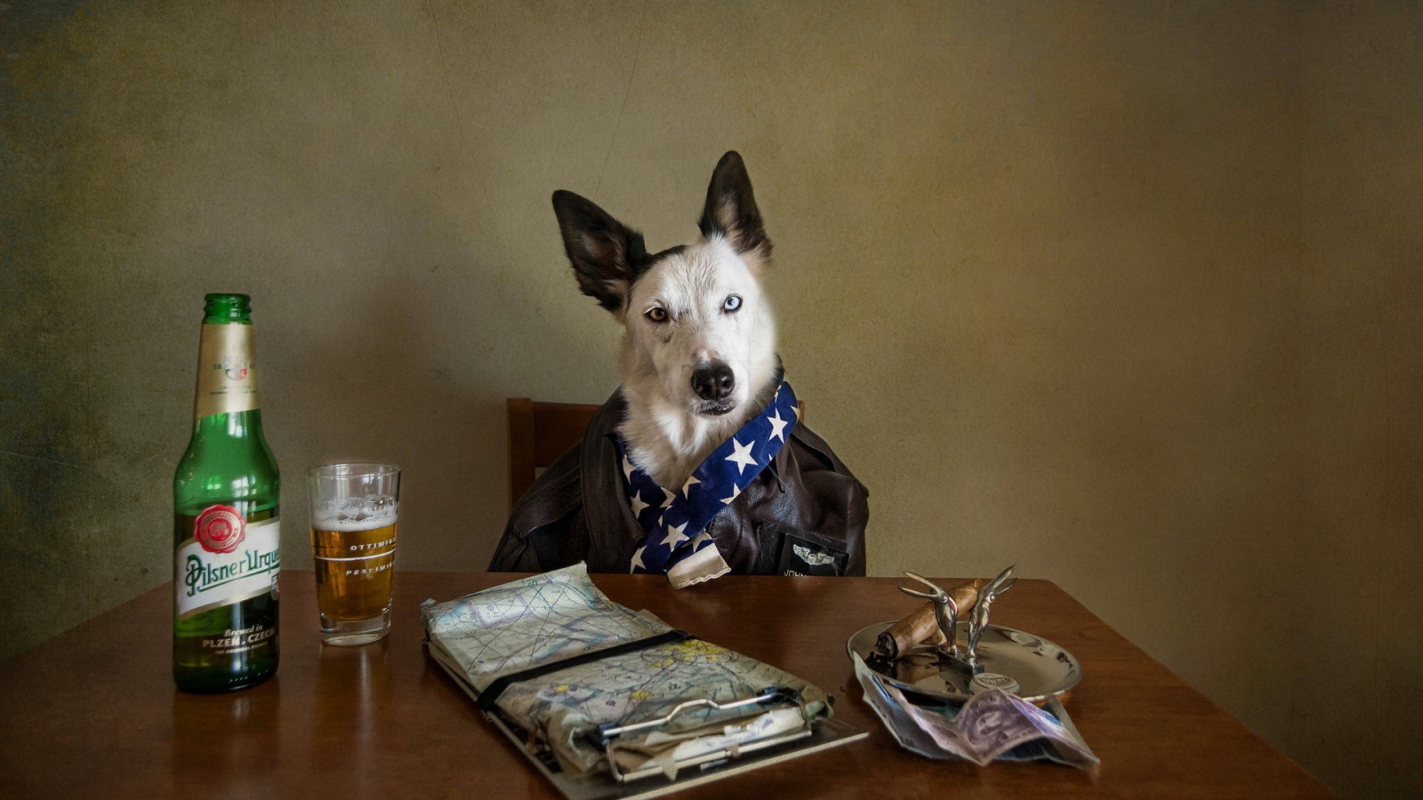 Собака за столом с пивом