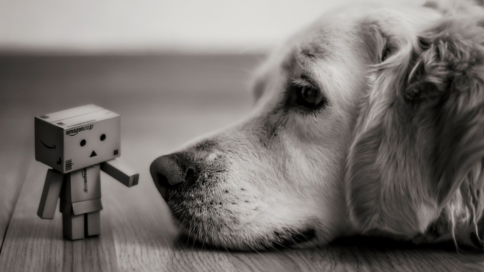 Человек из картона у носа собаки