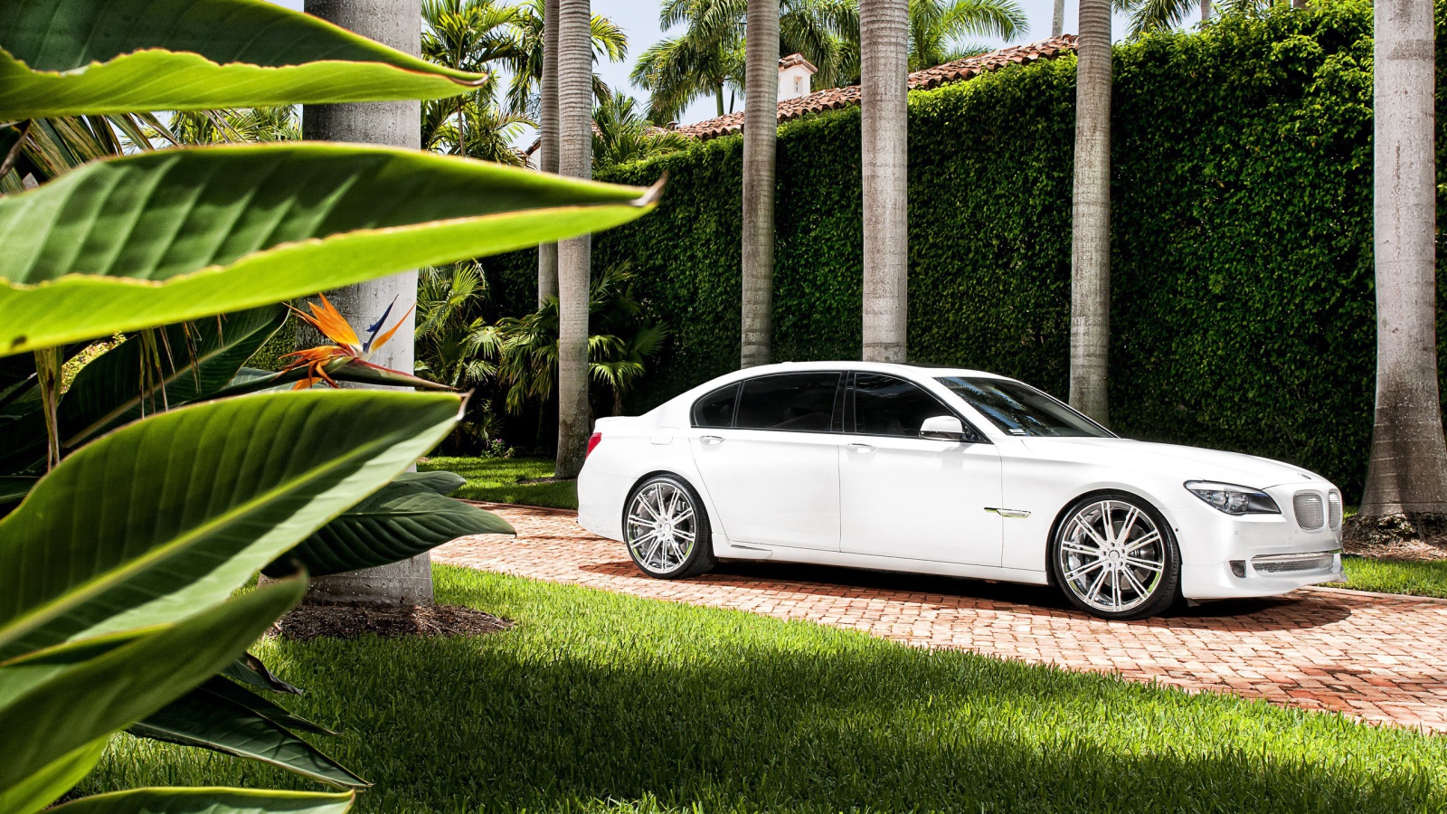 Белый БМВ во дворе богатого дома