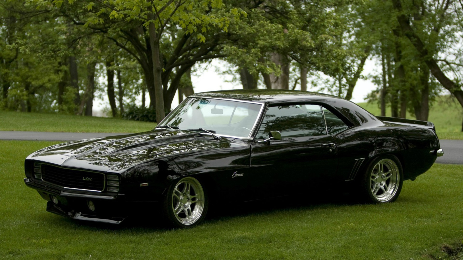 Черный Chevrolet Camaro RS на газоне