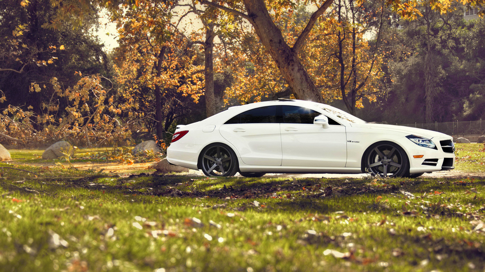 Белый мерседес на природе