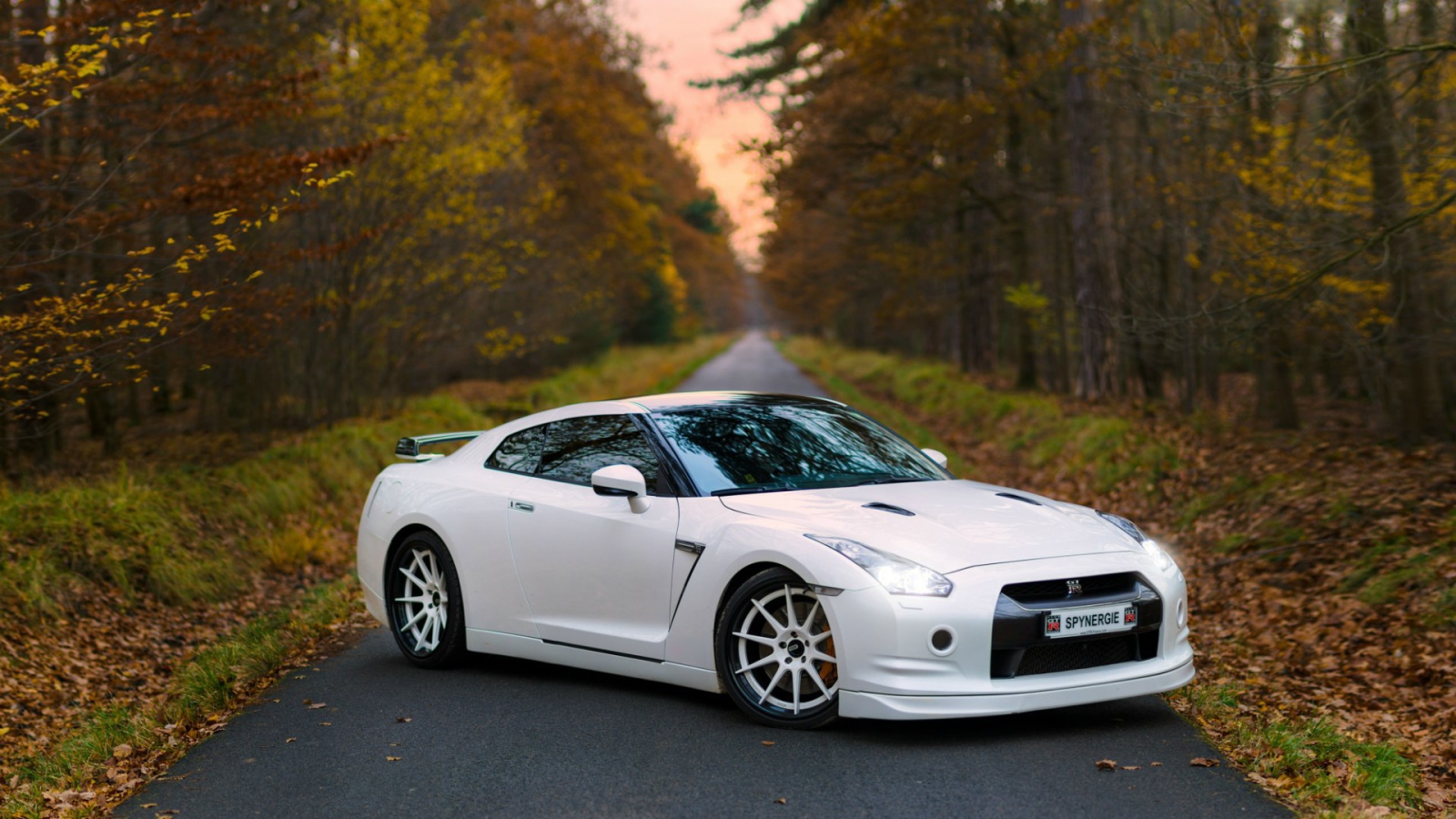 Белый Nissan GT-R на дороге в лесу