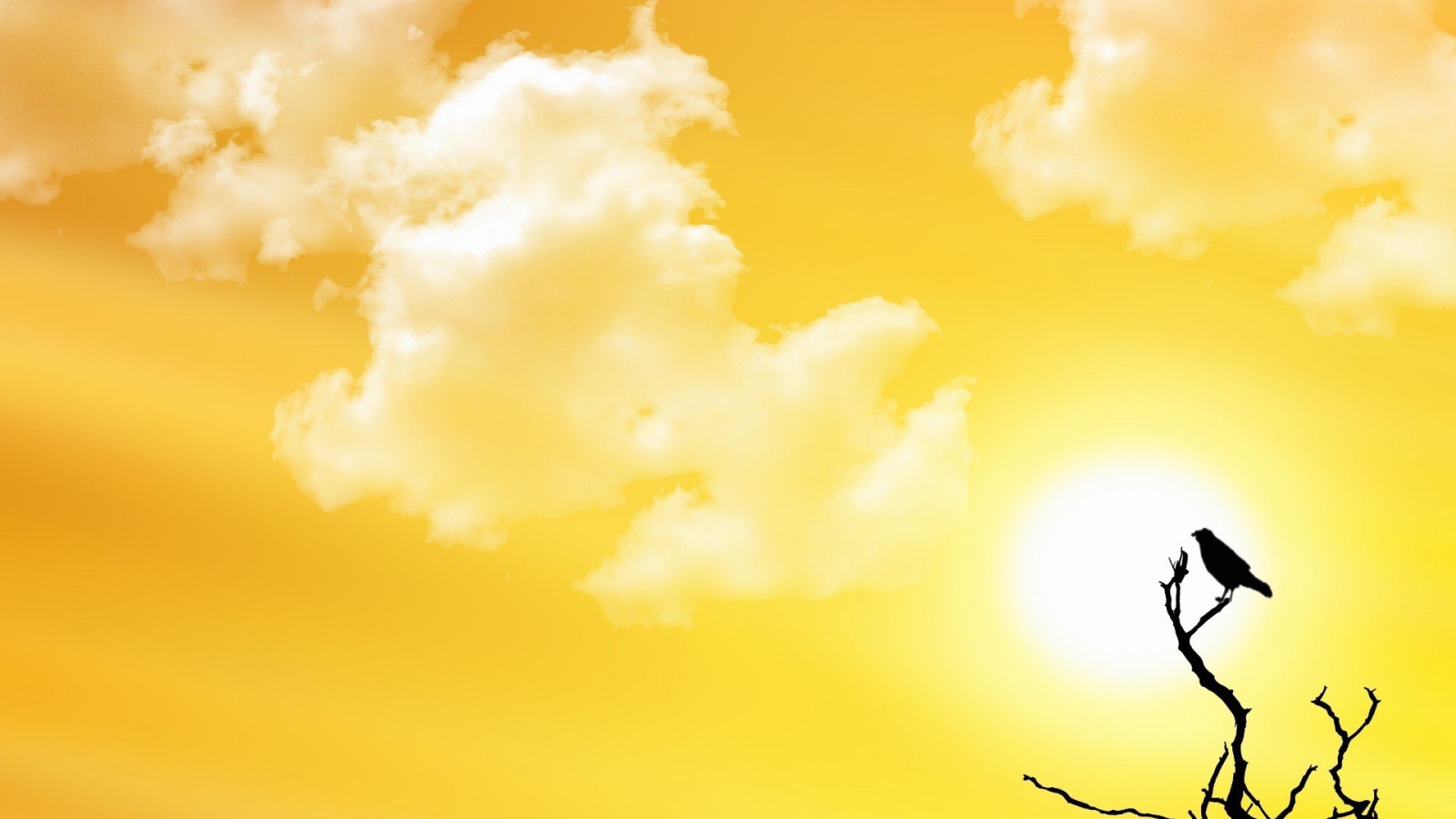 Птичка на ветке, желтый фон