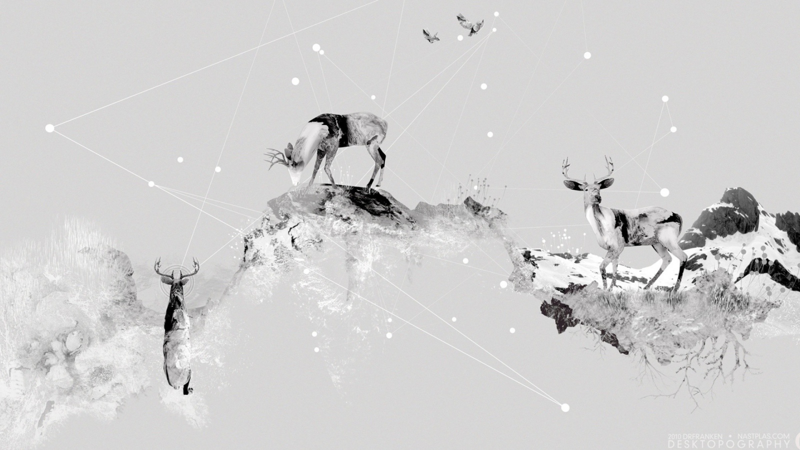 Олени в горах, серый фон