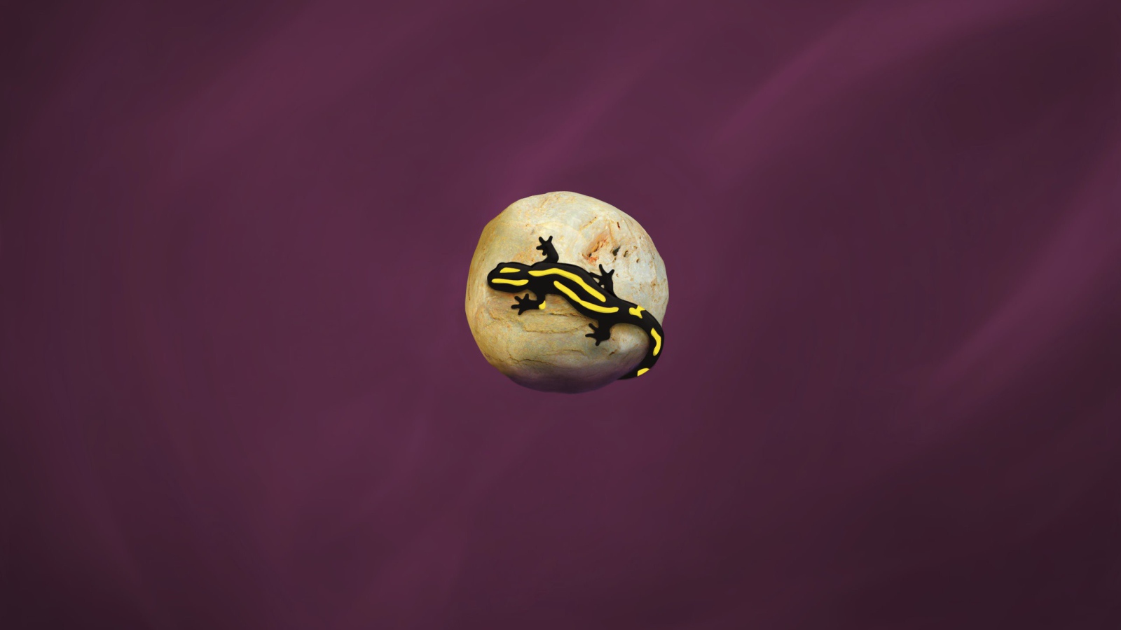 Ящерица на камне, фиолетовый фон