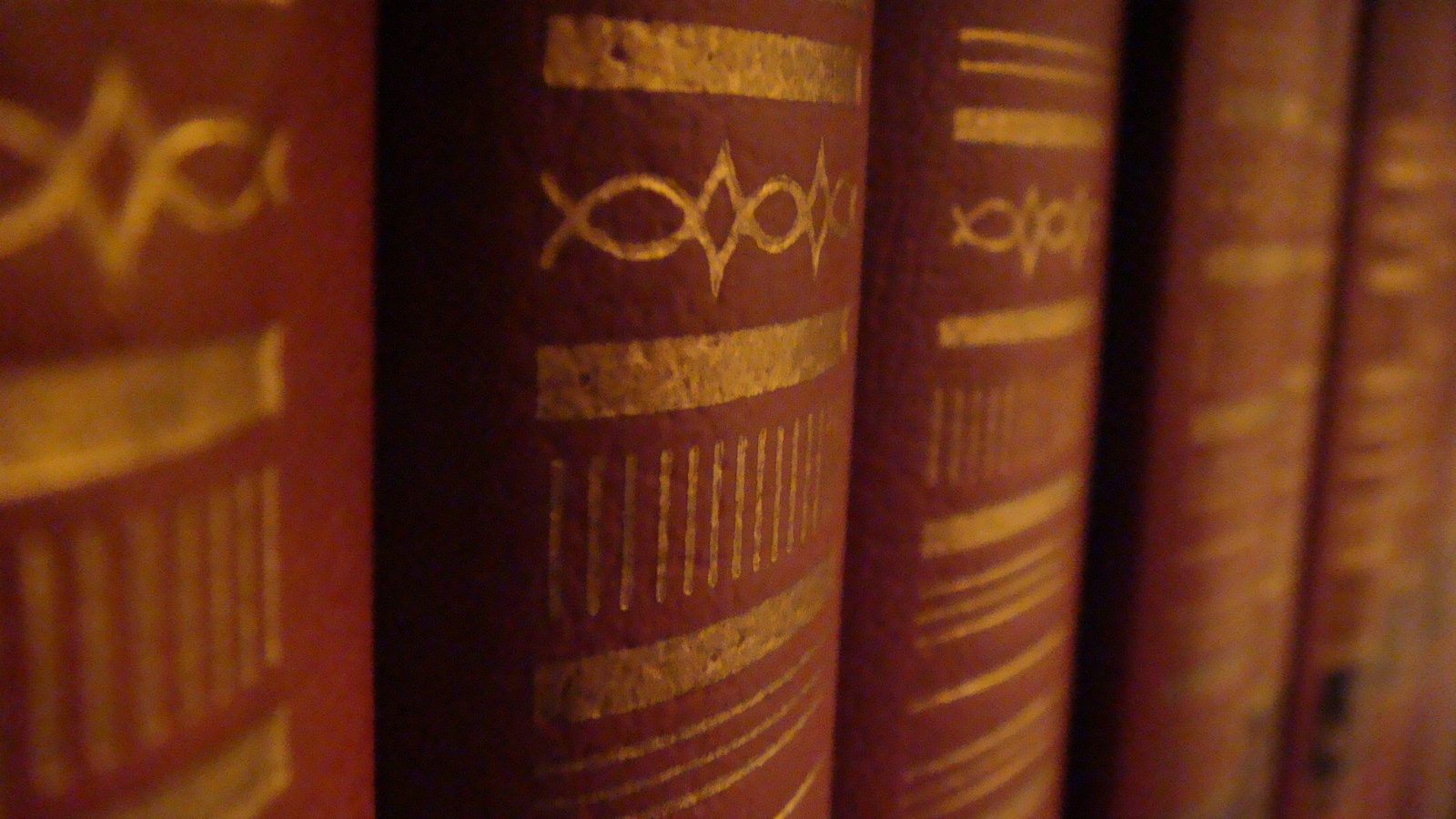 Корешки книг