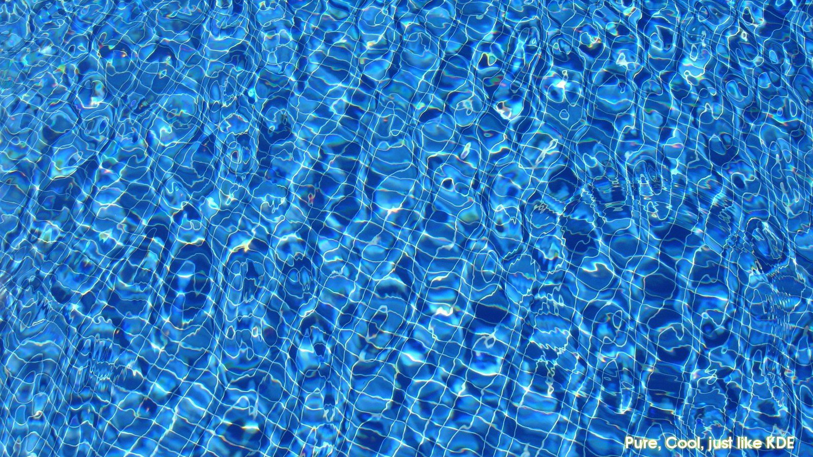 Дно бассейна