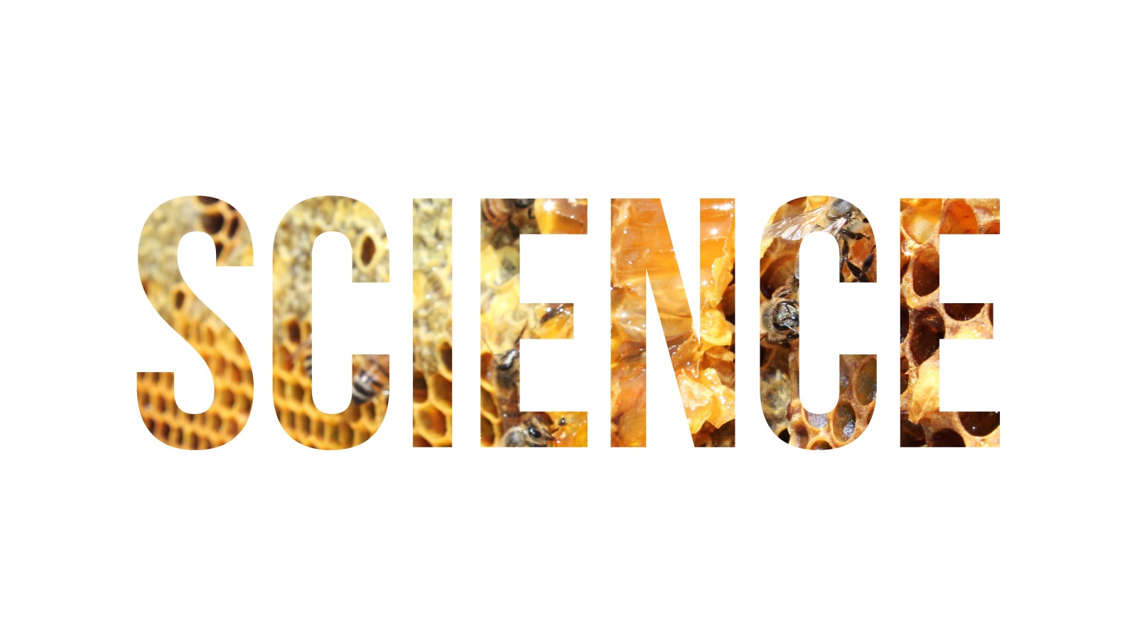 Надпись Наука на фоне улья