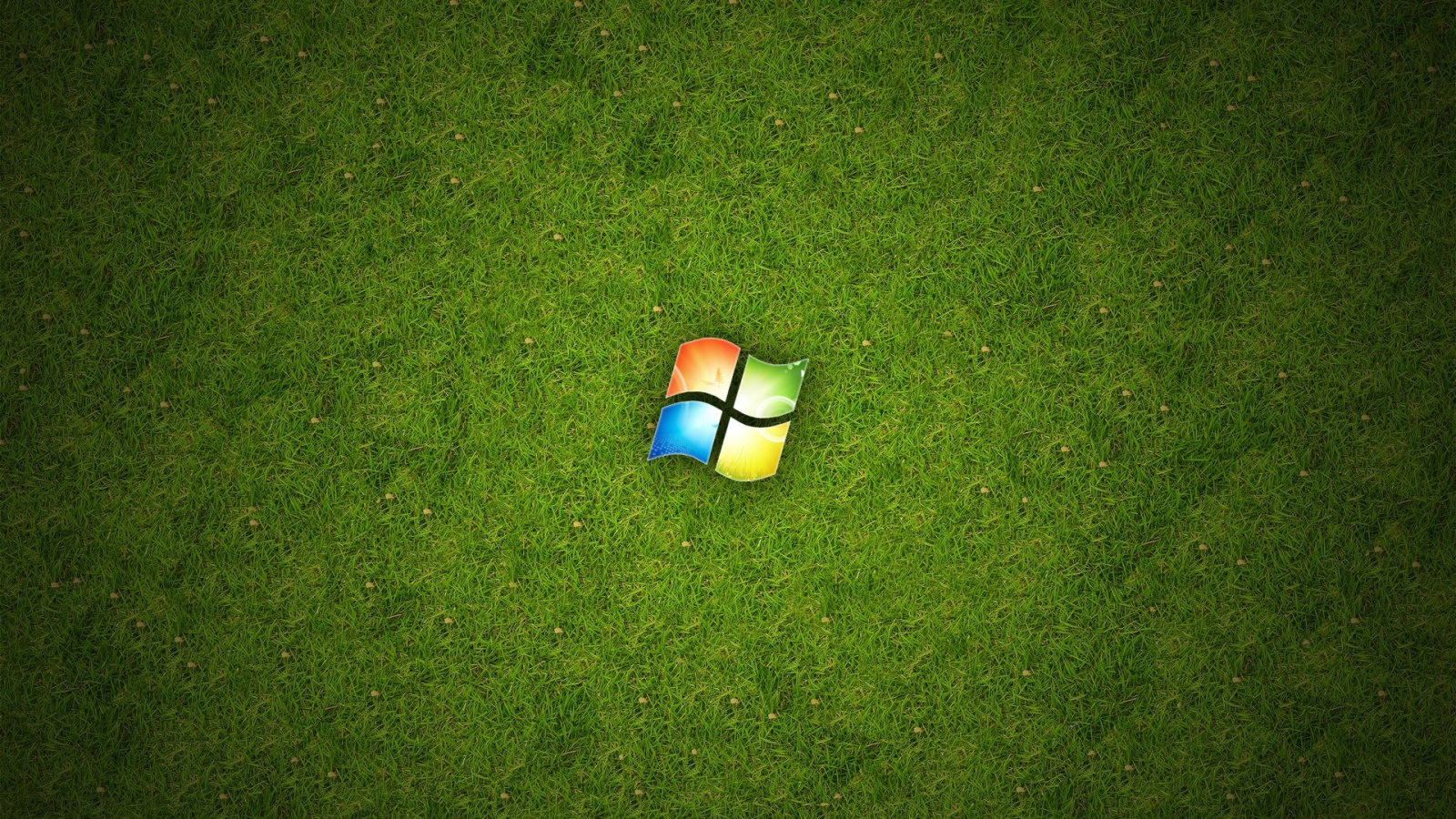 Логотип Windows 10 на зеленом газоне