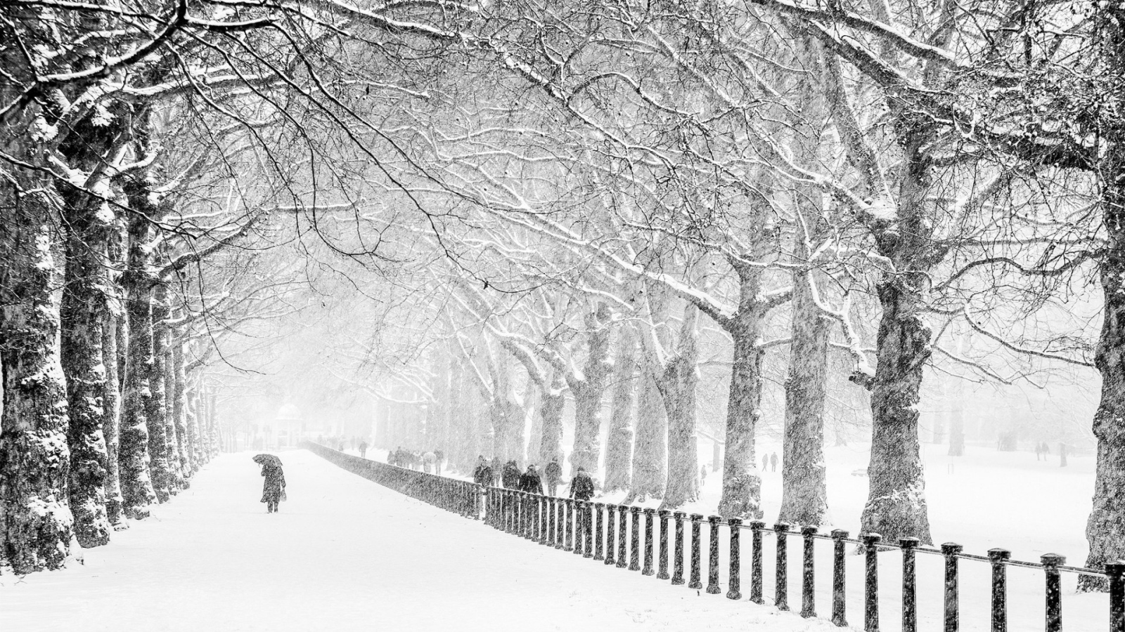Сент-Джеймс Парк, Лондон
