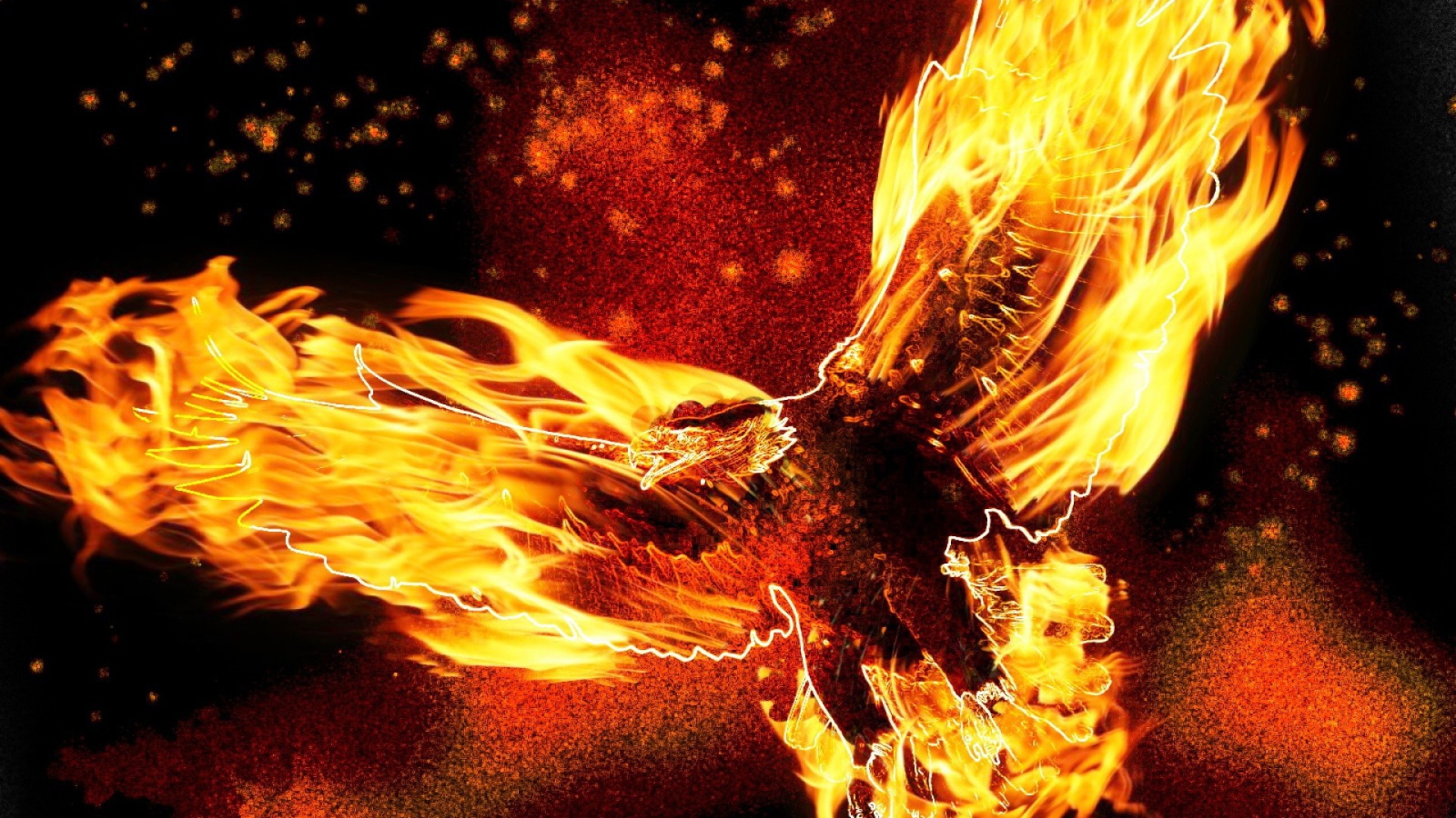 Птица орел в огне