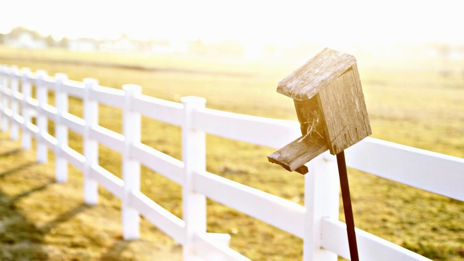 Птичья избушка на заборе