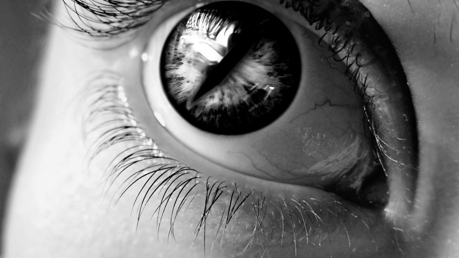 Черный зрачок в глазу