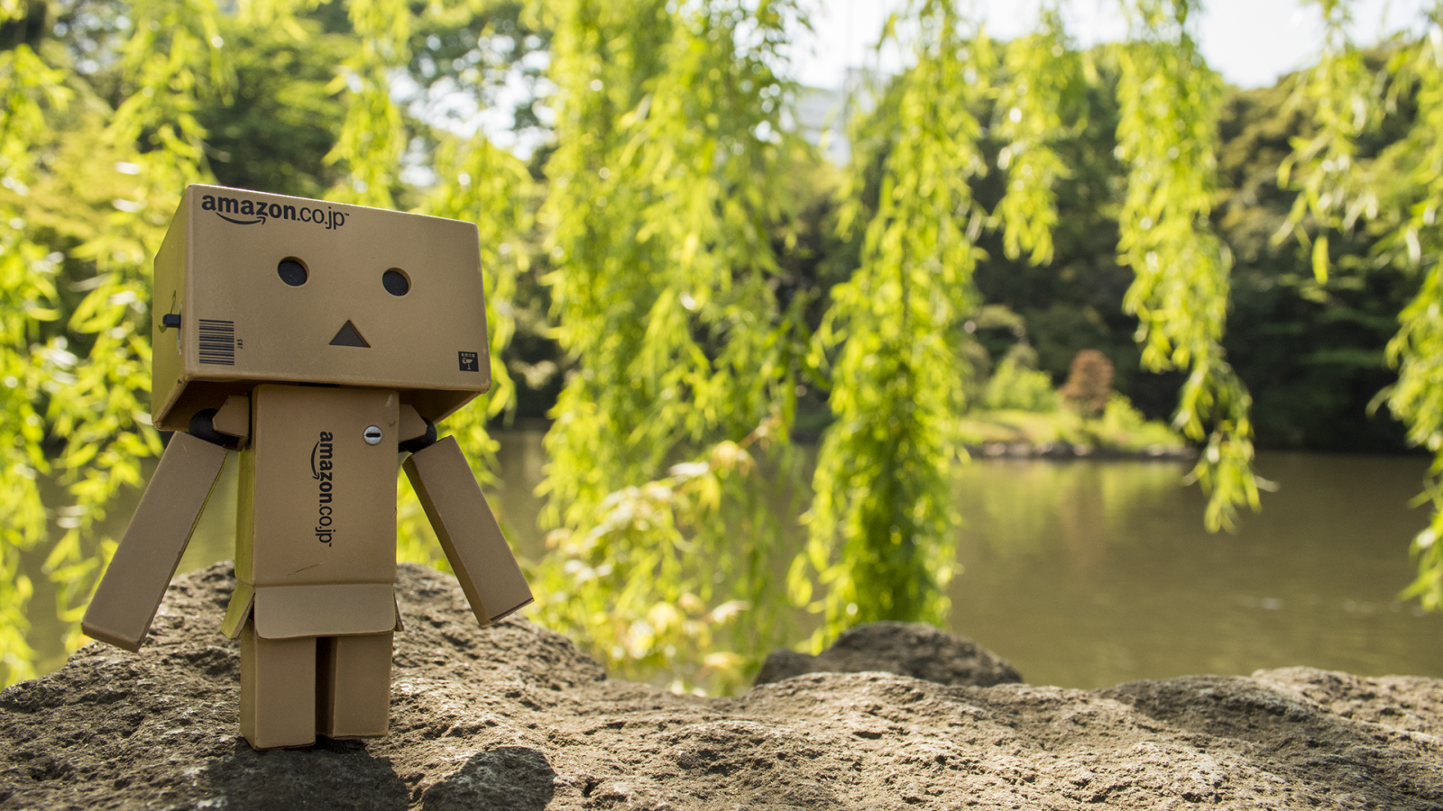 Дандо на земле в саду